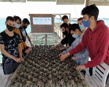Business collaboration between the Vocational Training & Intermas Aquaculture